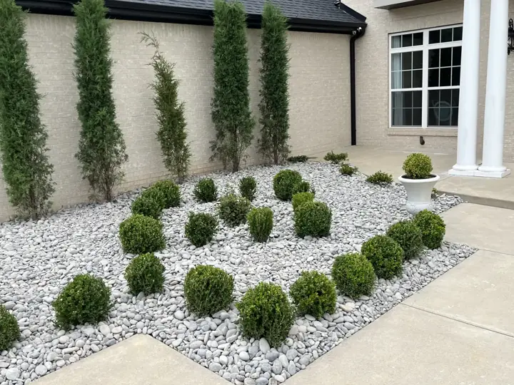 Arborvitae Boxwood Rock Bed