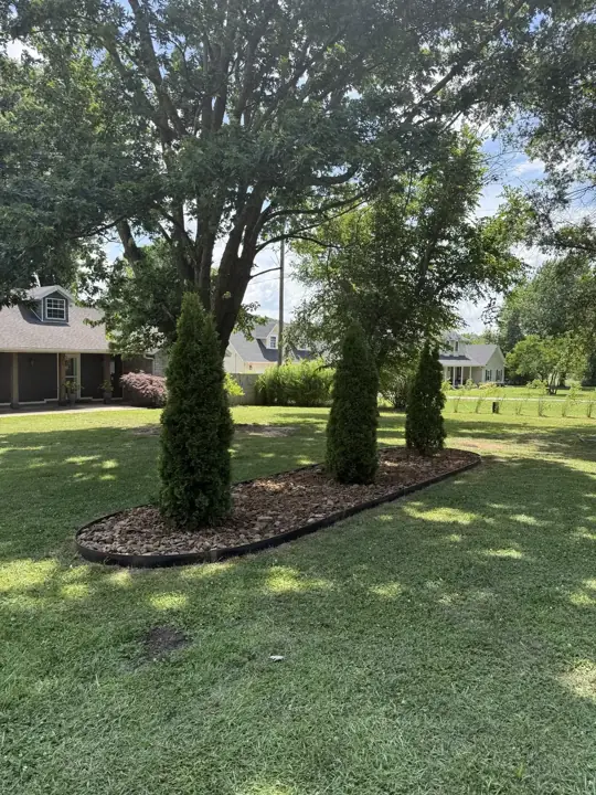 Arborvitae Island Bed Springdale