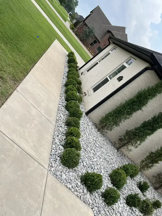 Arborvitae Side Yard Springdale