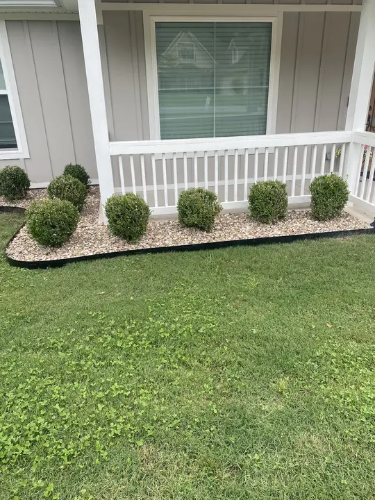 Boxwood Hedge Gravel Bed Installation