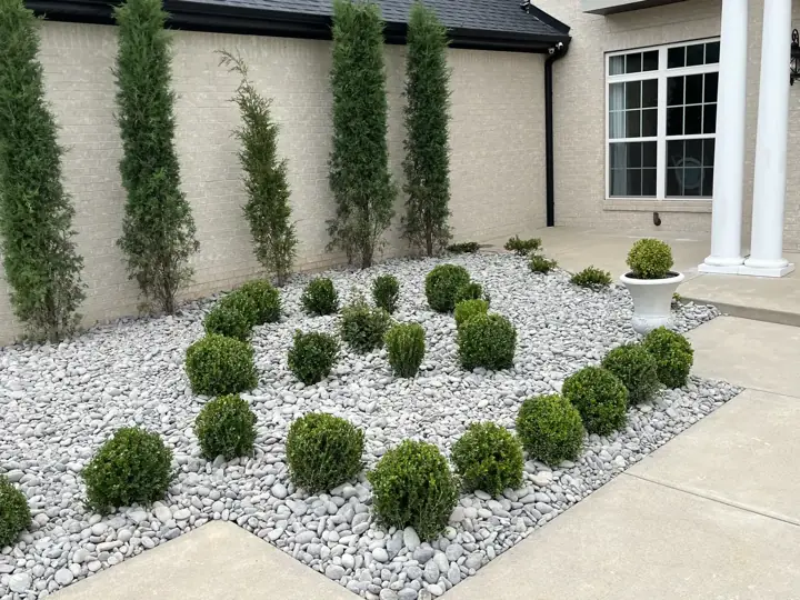 Formal Boxwood Arborvitae Gravel Nwa