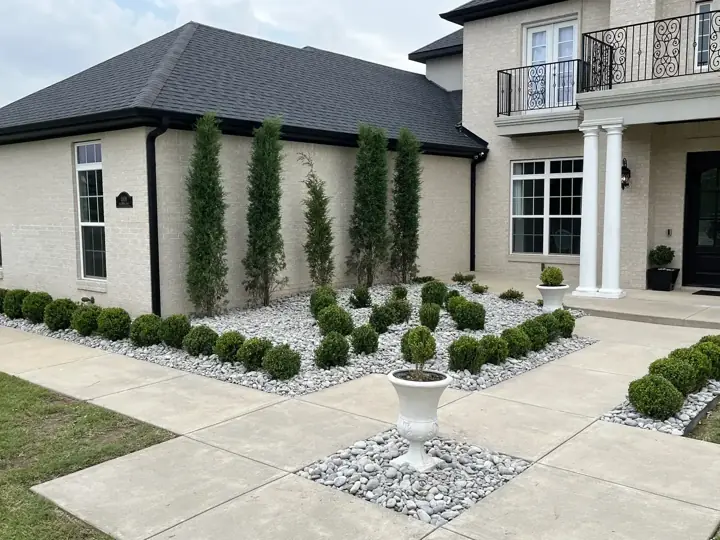 Landscape Design Boxwood Front Nwa