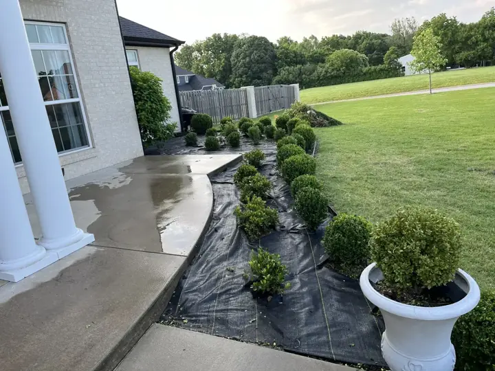 Landscape Design Consultation Boxwood Nwa