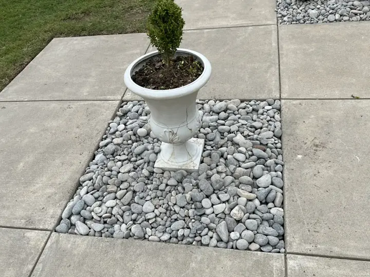 Planter Urn Boxwood Hardscape